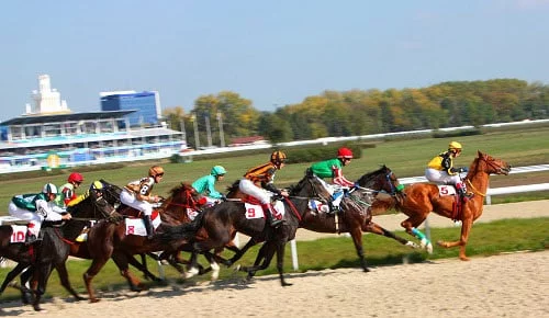 Horses racing on a race track